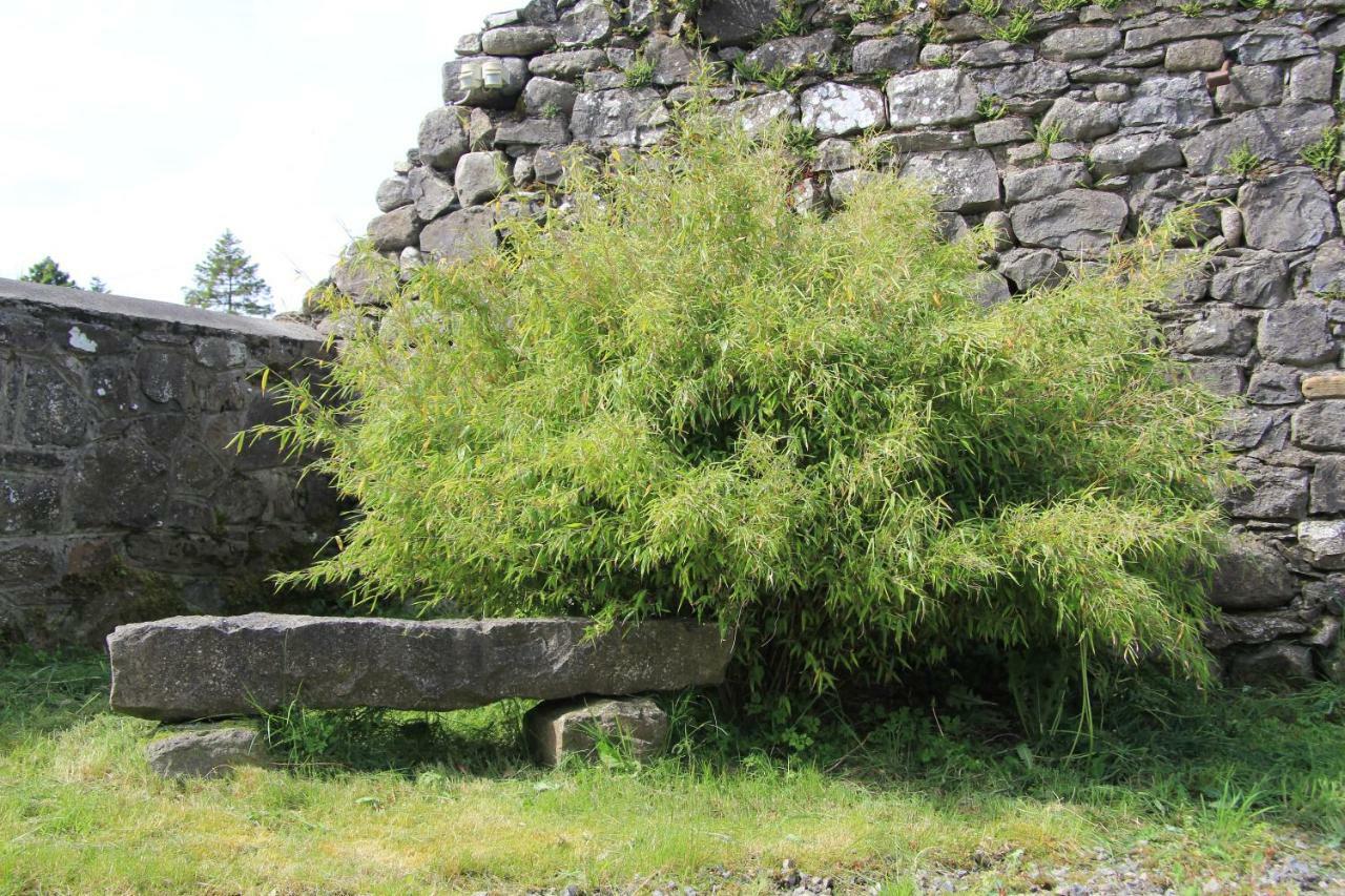 Glenboy Country Accommodation Oldcastle Esterno foto